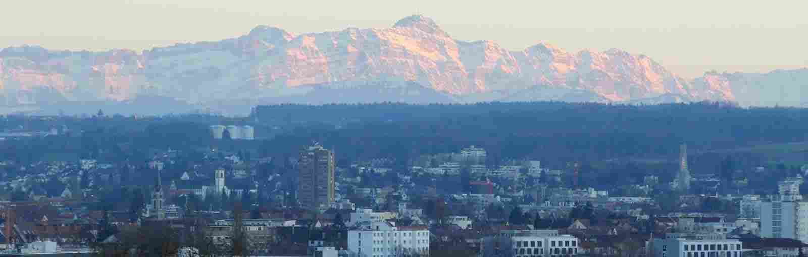 Leistungen & Services